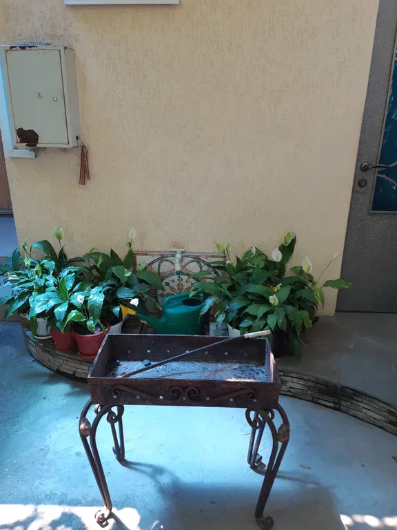 Частный дом на лето с парковкой в центре старой части города