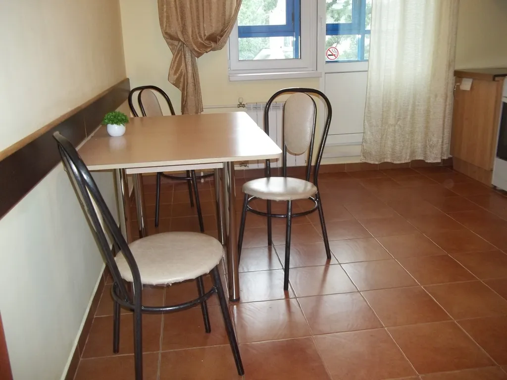 Большая уютная квартира