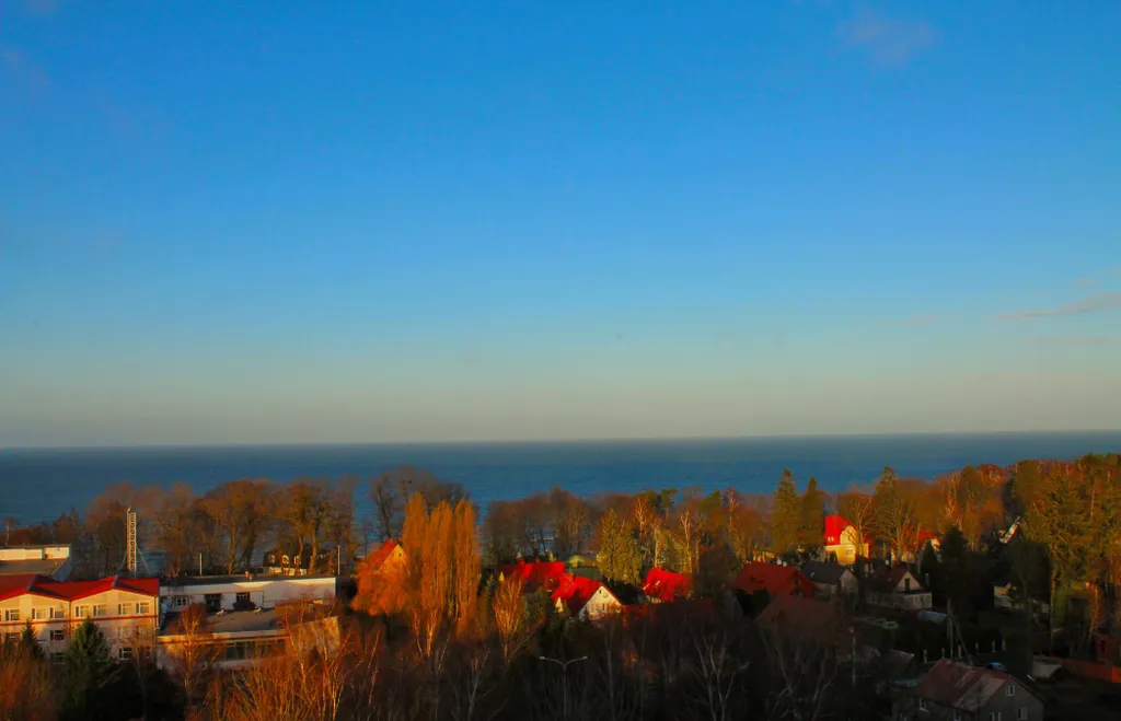 Квартира 1-комнатная Квартира — Светлогорск