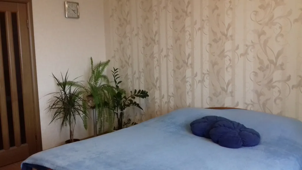 1-комнатная Квартира — аренда посуточно в Брест