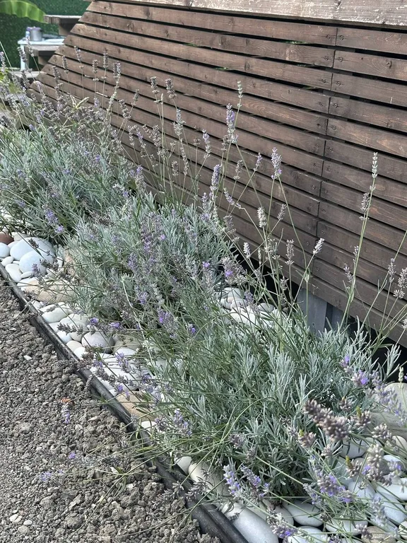 Глэмпинг NurHouse