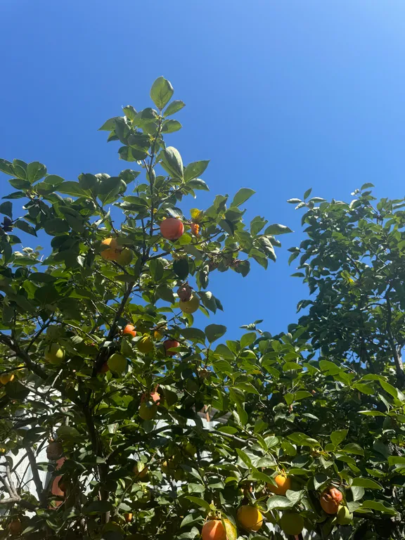 Гостевой дом на берегу моря