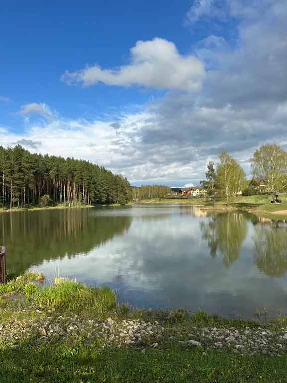 Дубльдом с видом на лес и городским комфортом в Капитан клаб