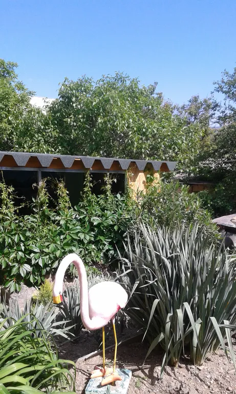 Комфортная комната с сан узлом и балконом