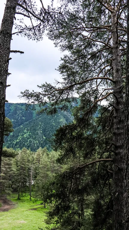 Коттедж Четырёхместный дом с видом на горы — Архыз