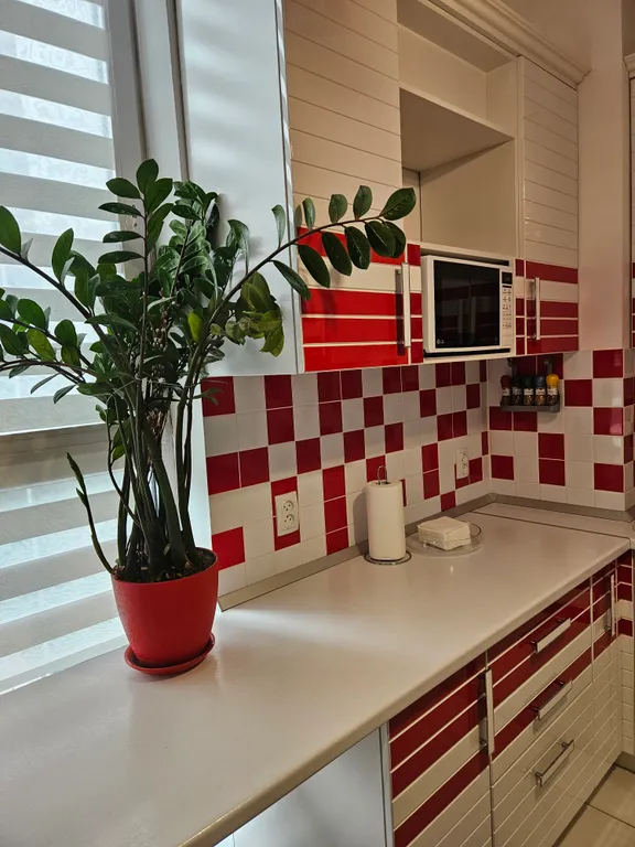 Уютная квартира в самом центре  города, в парке