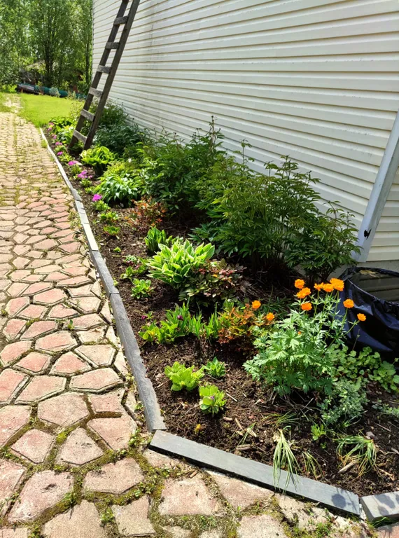 Домик на Полевой