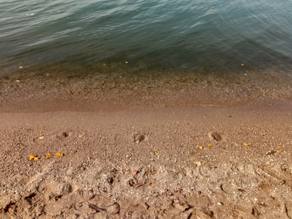 Коттедж Домик на берегу водохранилища — Истра