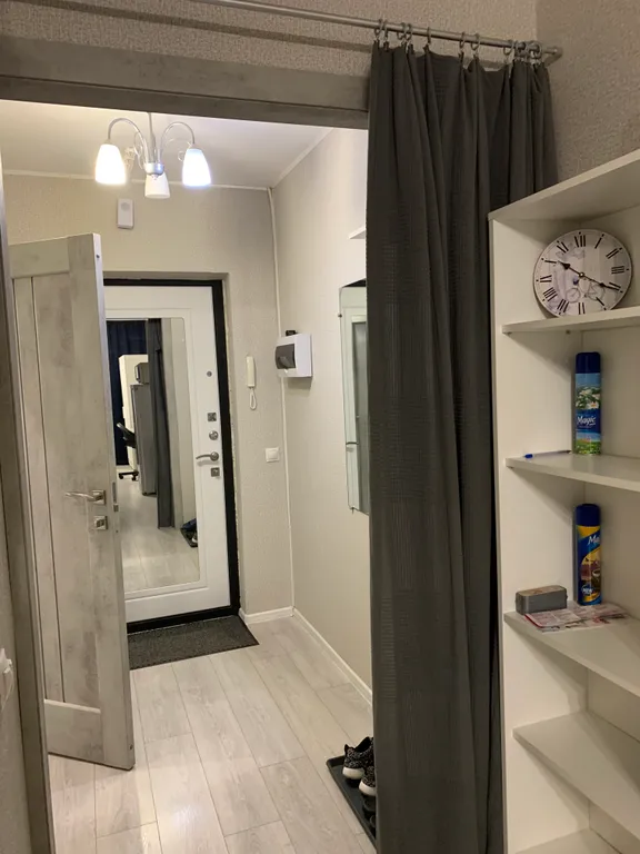 Студия у метро Девяткино