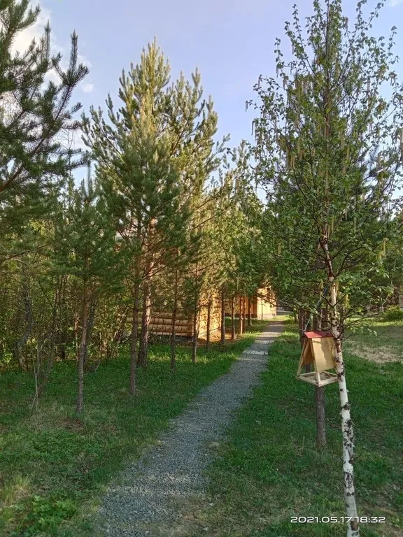 Дом в лесу у реки