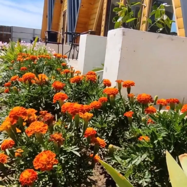 Уютные Гостевые дома на берегу Черного моря Песчаный Рай