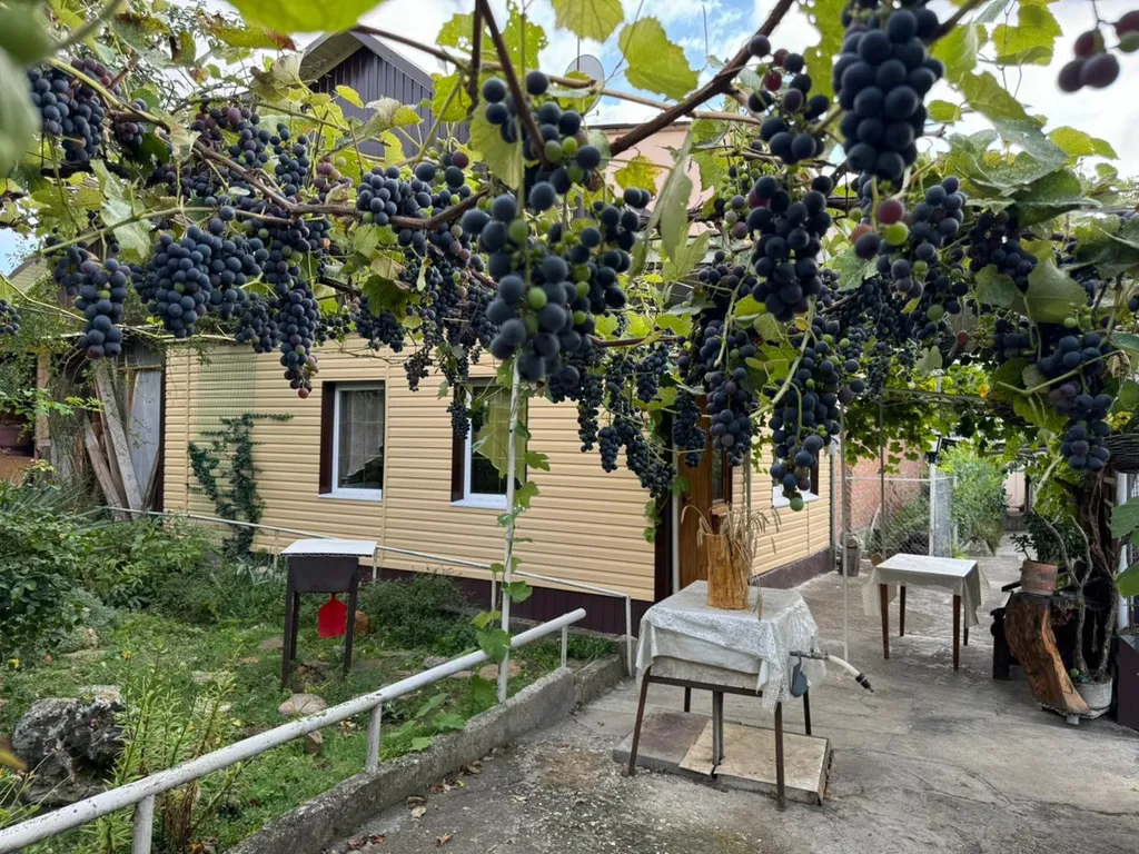 Коттедж Уютный дизайнерский дом с мангалом — Кисловодск