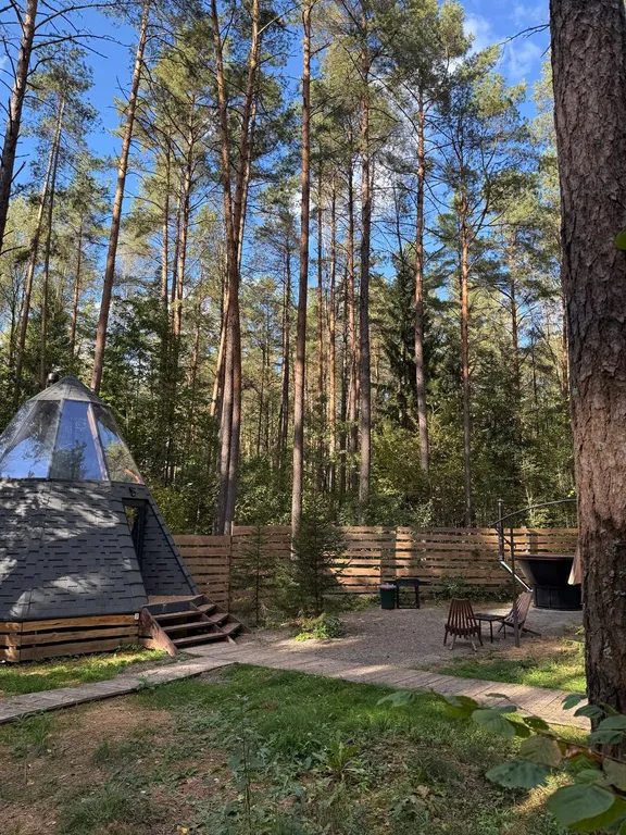 Панорамный дом в сосновом лесу glassy 3