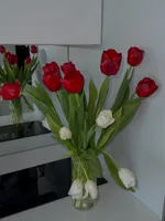 Александра  Гаряева