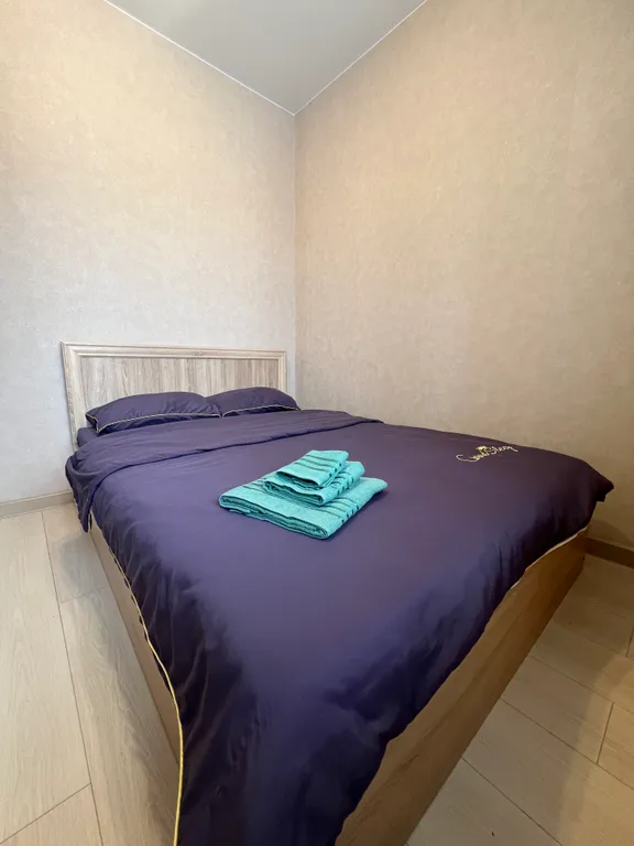 2-комнатная Квартира — аренда посуточно в Жуковский