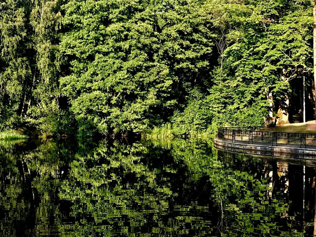 Квартира Квартира на озере рядом с лесом — Светлогорск