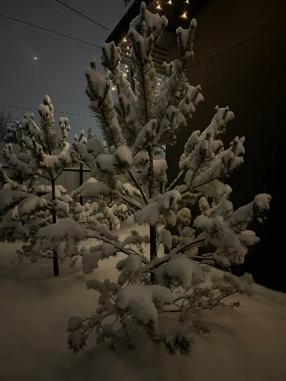 Теплый домик на берегу озера с баней и чаном