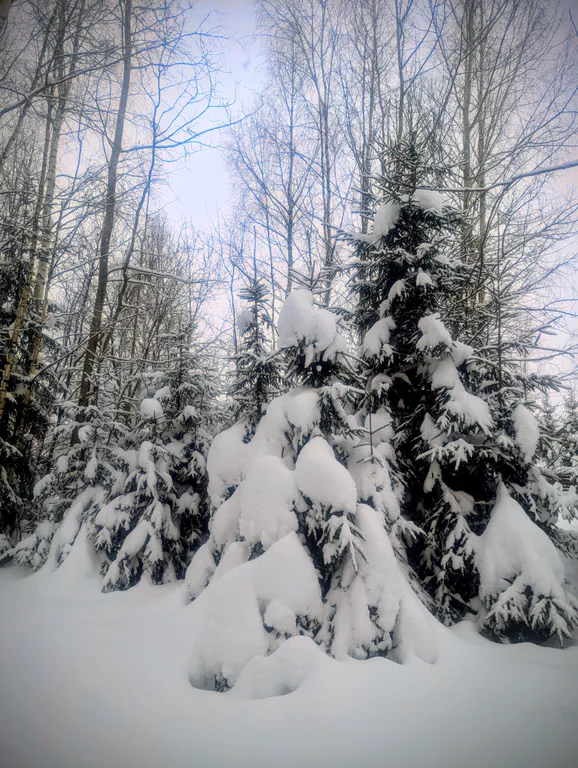 Коттедж Уютный домик с камином и бассейном — Глазово