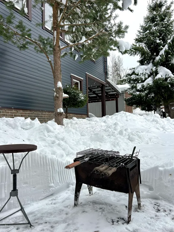 Семейный дом с камином Птичка