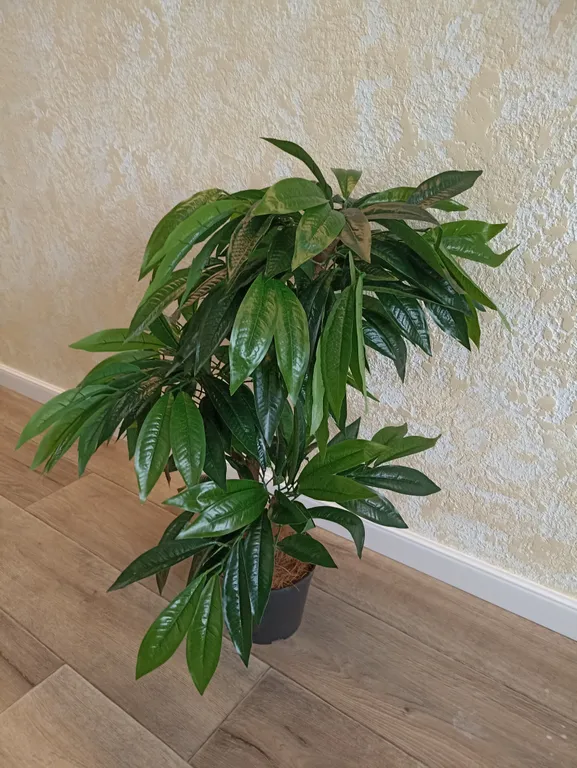 Уютная студия у фок арена и тц рио