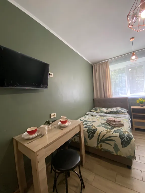 Апартамент у Волги и Соснового бора