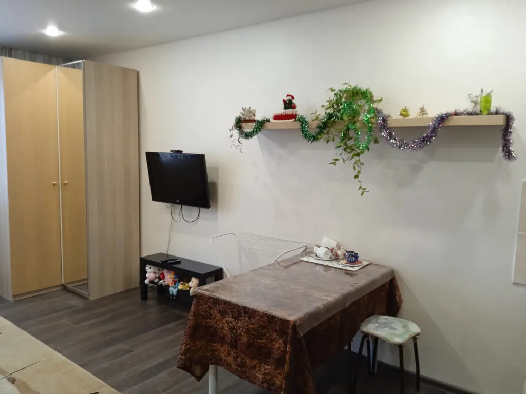 Уютная студия в экологически чистом районе города