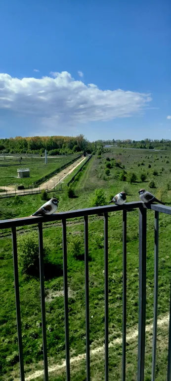 Квартира Новая стильная квартира на побережье Балтийского моpя — Пионерский