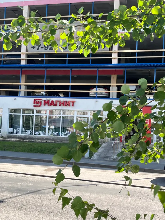 Большая квартира с зонированием и с видом на лес