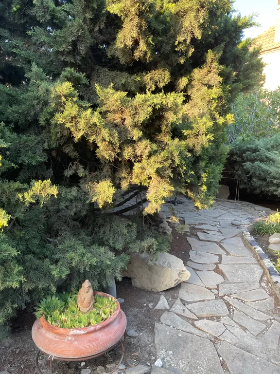 Генеральская дача