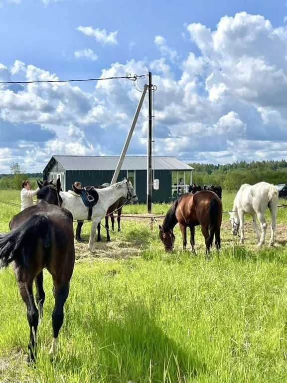 Коттедж 1-комнатный Дом — Шаховская
