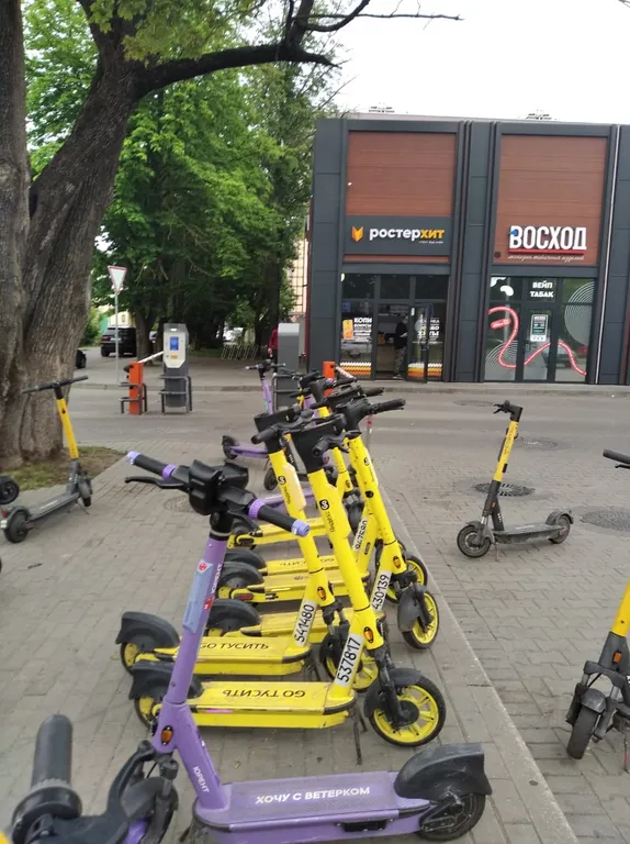 Квартира Уютная квартира недалеко от центра города — Калининград