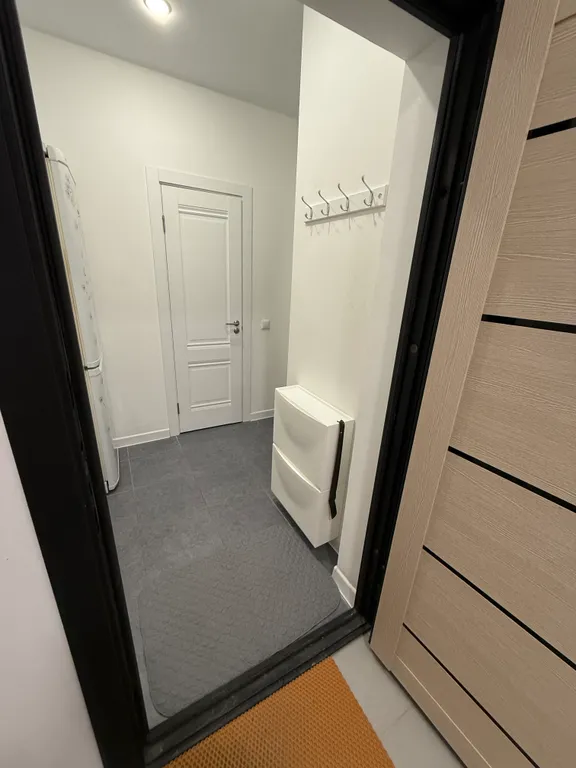 Студия в Новом Пушкино