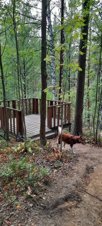 Уединенная часть дома с садом и барбекю
