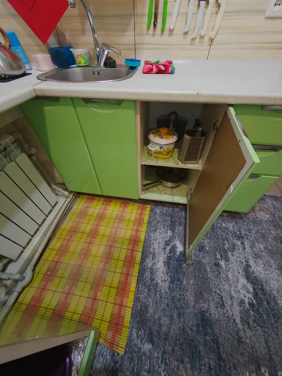 3-комнатная квартира с двориком