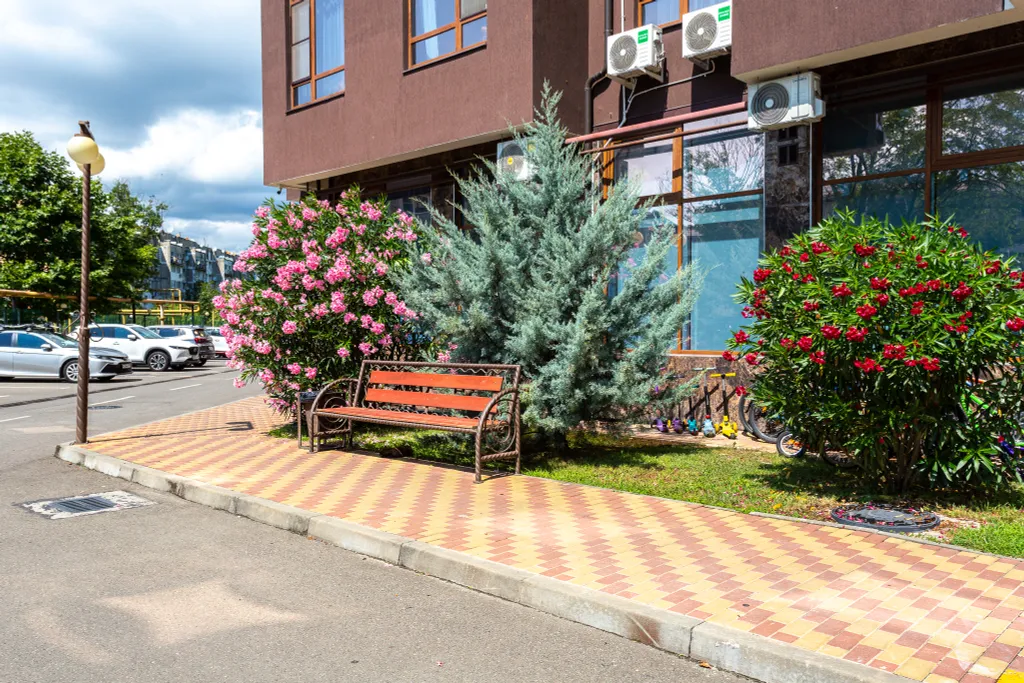 Студия с видом на гору. "Кватро 57"