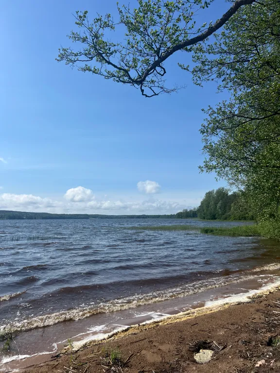Новый современный дом с просторной кухней-гостиной