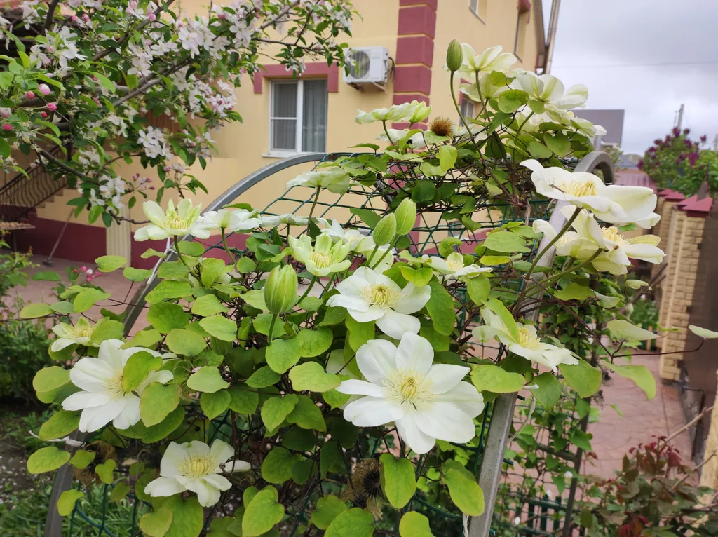 Этаж в доме для дружной компании