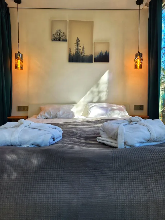 Коттедж комфорт класса с видом на лес