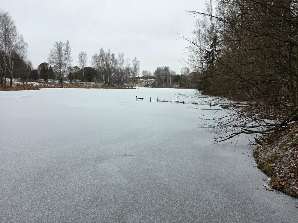 Новая сфера для глэмпинга Бёрд&Self vibe с дизайнерским интерьером