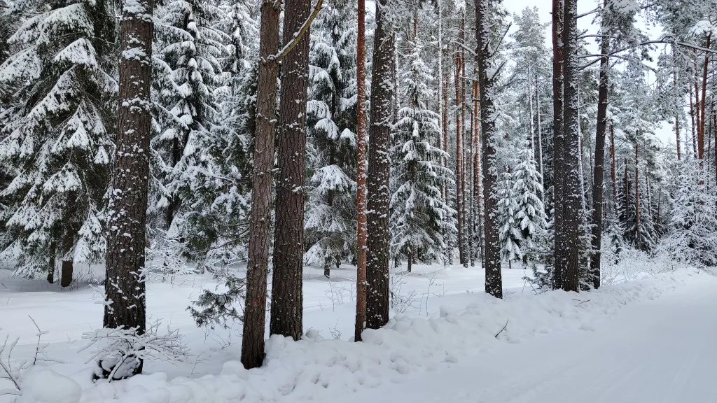 Коттедж Дом с баней, банным чаном, детской площадкой и батутом у озера в сбору — Ланино