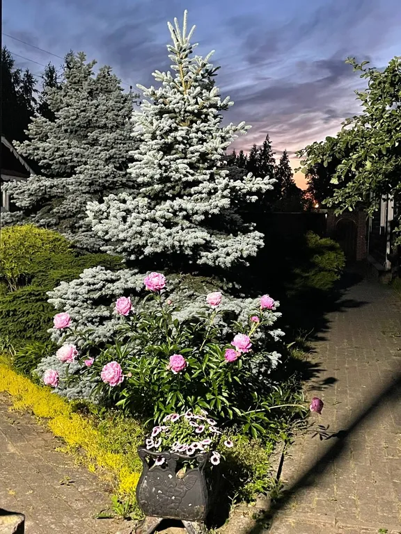 Коттедж Дача на берегу Ладожского озера — Коккорево