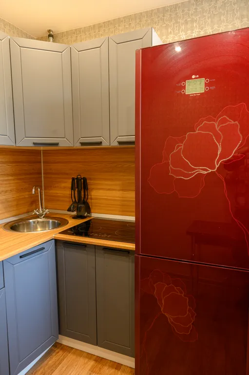 Уютная квартира в центре города возле Театра Горького