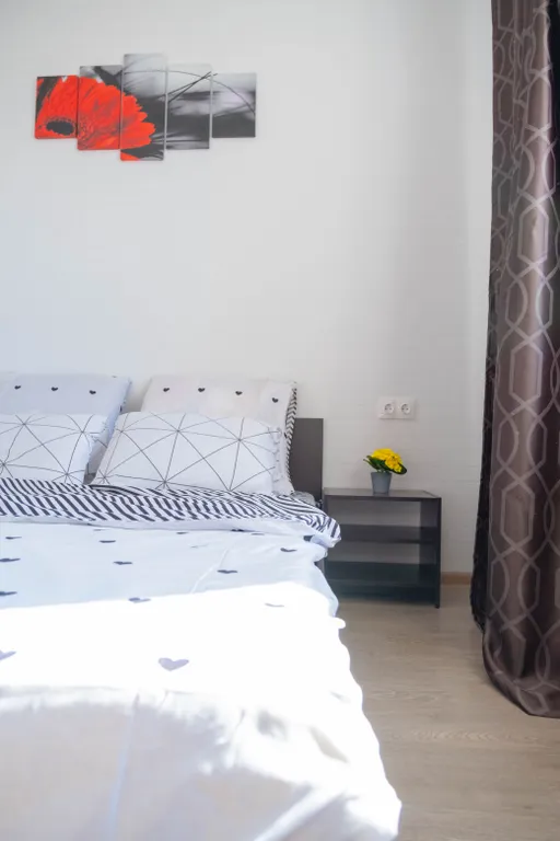 Апартаменты Евродвушка с новым ремонтом в центре города