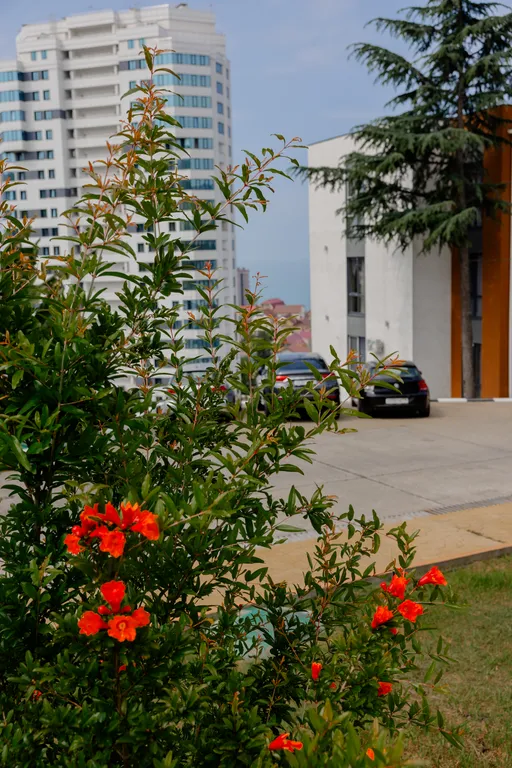 Квартира Квартира Апартамент с видом на море — Адлер