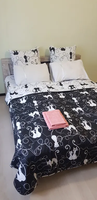 Квартира Квартира Eva travel — Калининград