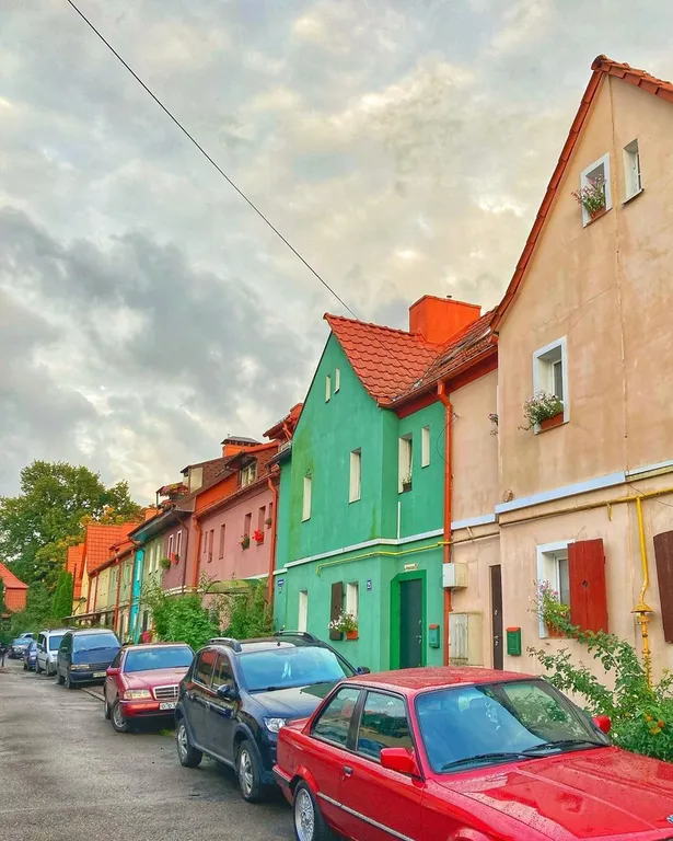 Прусский Кот  (в историческом районе Ratshof на границе с Amalienau)