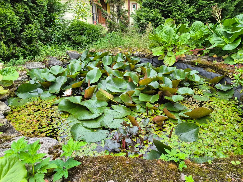 Двухэтажный загородный дом рядом с озером