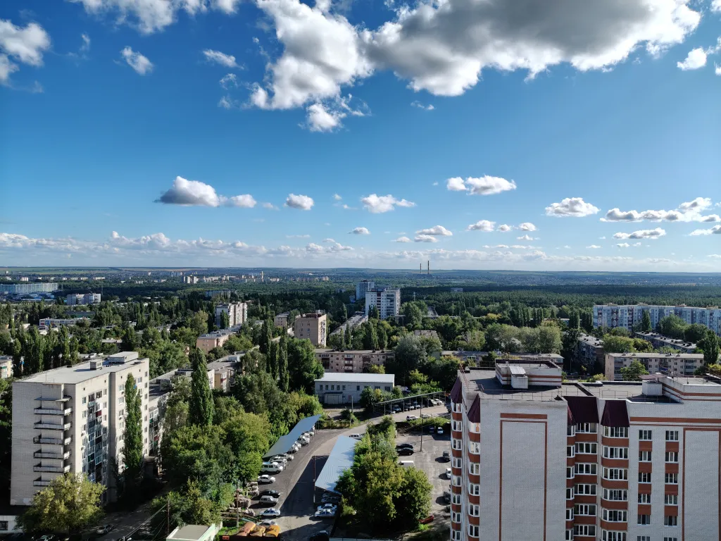 2 серый кот ждёт вас в гости 2