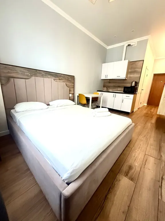 Уютная студия в центре города