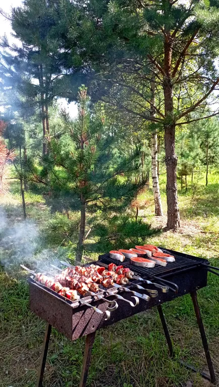 Уютный домик в сосновом лесу